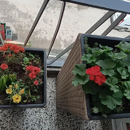 Apartamento Radanovic Foca