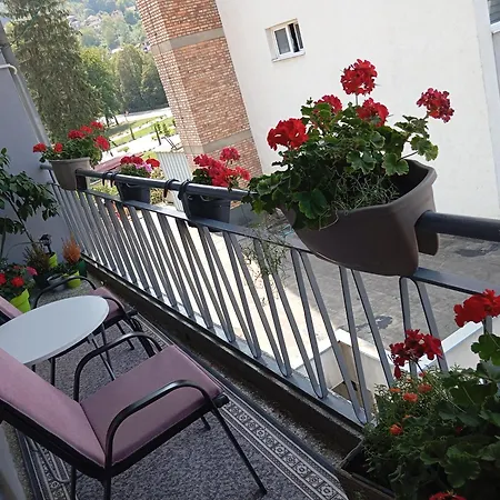 Radanovic Apartament *